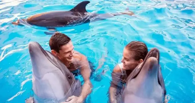 Side Swimming with Dolphins