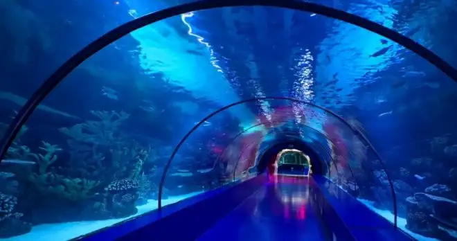 Antalya Aquarium Tour