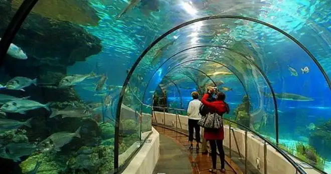 Side Antalya Aquarium Trip