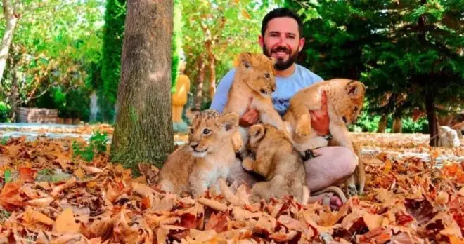 Side Land of Lions Tour